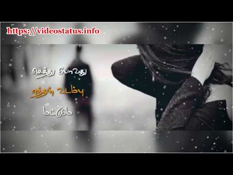 செத்து-போவது-sethu-povathu-tamil-whatsapp-status-video-song-download