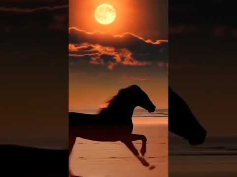 ابتدى المشوار