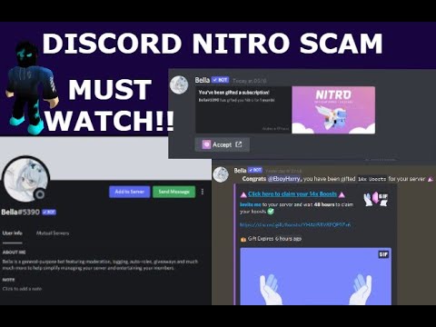 Часы в дискорде. Discord Nitro bot. Дискорд нитро СКАМ. СКАМ нитро в дискорде. Scam bot.