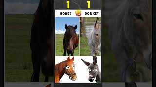 Celebrity Horse Vs Donkey | #comparison #facts #youtubeshorts Net Worth