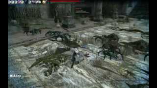 Vindictus in-game Video Recording Test