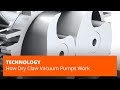 How Dry Claw Vacuum Pumps Work