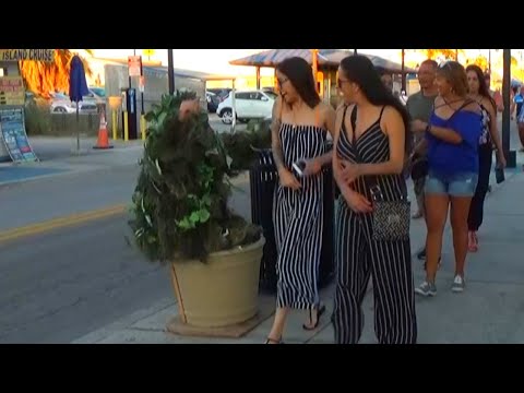 best-of-2019-bushman-prank-on-ladies