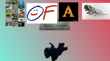 Birds of a feather, but every word is a Google image