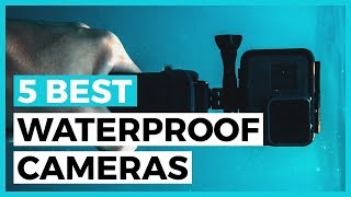 Best Waterproof Cameras in 2023 - How to Find the Best Waterproof Camera?