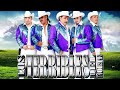 Los Terribles Del Norte Mix Corridos de Caballos || Puros Corridos Exitos Mix 2022