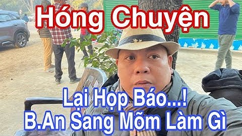 Lại Họp Báo...! B.An Sang Mõm Làm Gì #dungmapvlog #dungtocdaitv #thichminhtue