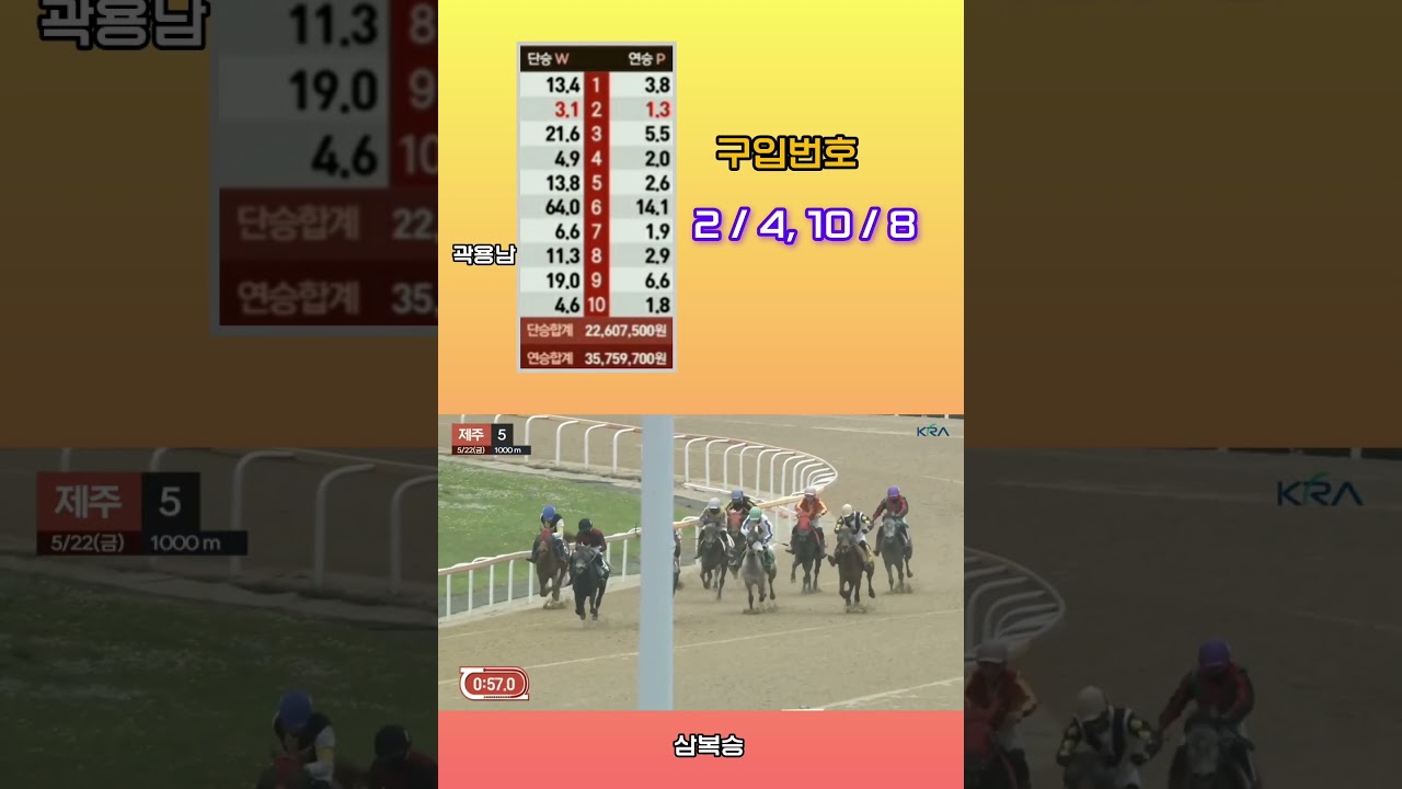 [경마] 최선을 다하는 기수 !