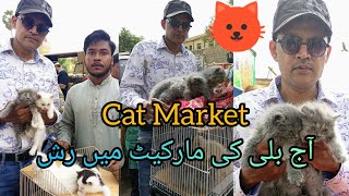 Cat Market in Karachi 27823 || Billi ki Market Saddar Karachi || #cats #babapetsinfo #catmarket