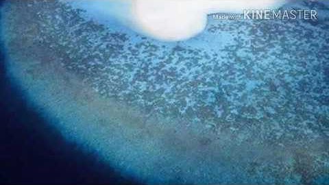 اجمل تلاوة للقارئ الشيخ الاستاذ ( ناصر الحصامي ) ليلة 27 رمضان