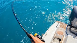 Inshore Wreck-Hopping the Florida Keys for Whatever Bites!