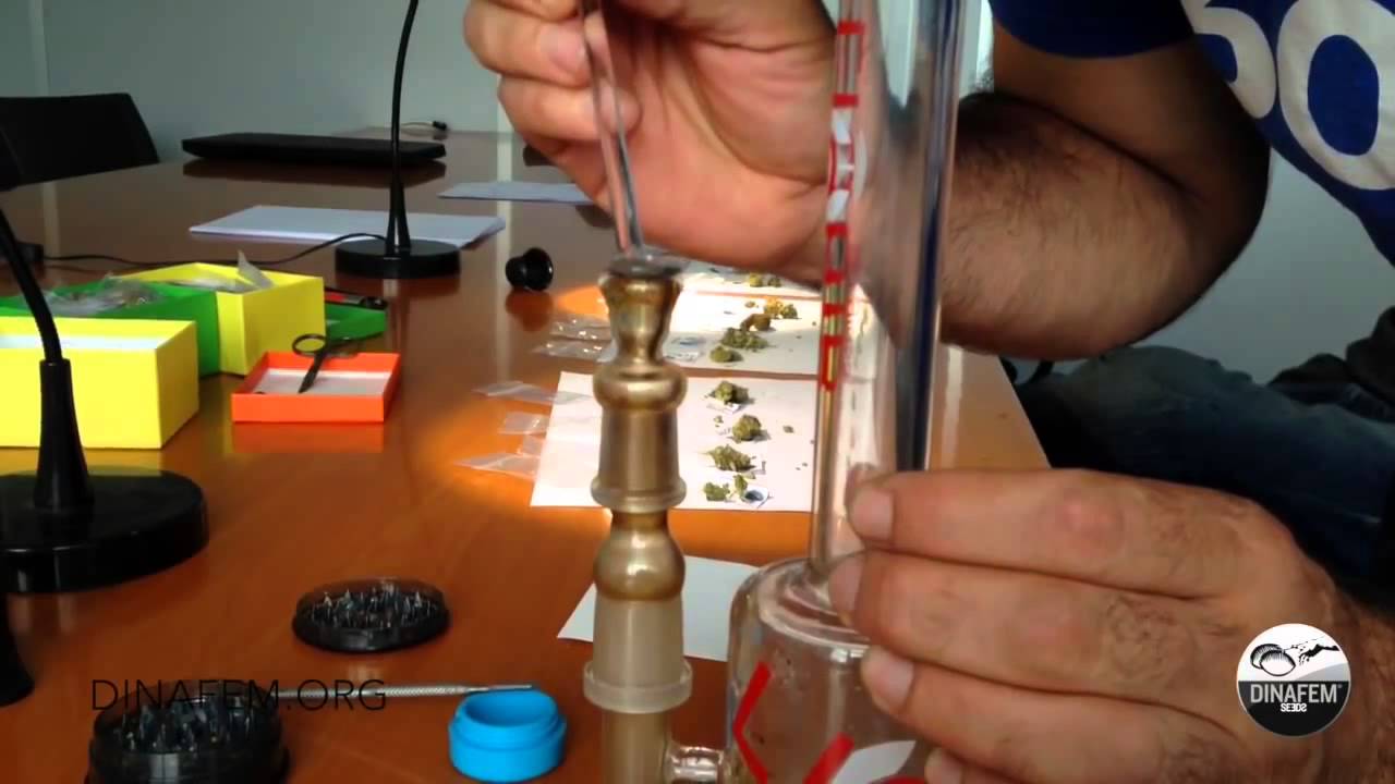 Cannabis ✤ Cata de muestras de marihuana y hachís de la copa cannábica Expogrow