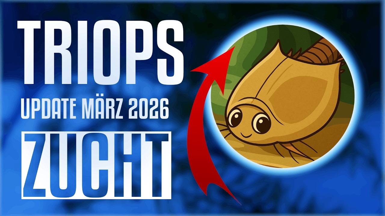 Triops-Zucht: Update März 2026 🦐 🦐