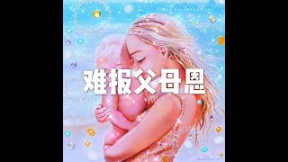 201807 难报父母恩50529