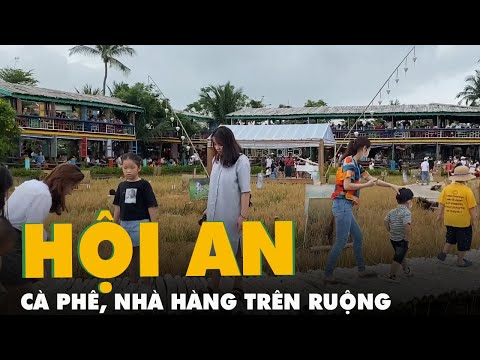 Video Quán cà phê, nhà hàng trên ruộng lúa ở Hội An - youtube
