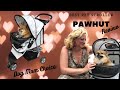 PawHut D00-041GY 3輪ペット用ベビーカー 折りたたみ式 猫 犬 ジョガー キャリア - 犬 お母さんの選択