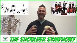 The Shoulder Symphony screenshot 3