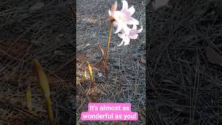 Reminding you how wonderful and precious you are! Share with someone you care about.
Reminding you how wonderful and precious you are! Share with someone you care about. Reminding you how wonderful and precious you are! Share with someone you care about.