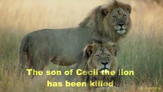 Cecil The Lions Son Killed By Trophy Hunter