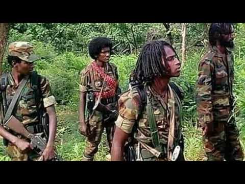 Oduu Guyyaa Har A Bbc 