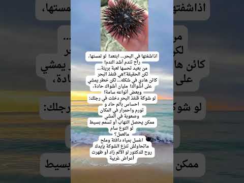 إذا رأيت هذا في البحر ابتعد فور ا خطر قنفذ البحر