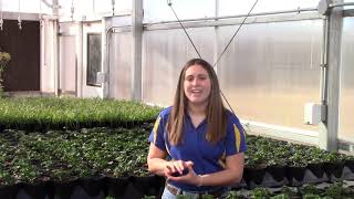 FFA Recruitment Video