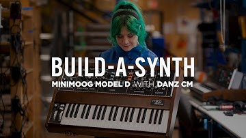 Build-a-Synth | Minimoog Model D | Danz CM