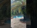 Florida Rain Is Intense
