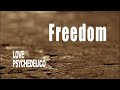 LOVE PSYCHEDELICO - Freedom (Official Video)