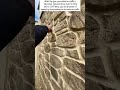 Exterior Wall Stone Pattern Application: Step-by-Step Guide
