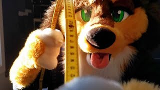 measures you for your new fursuit [Furry ASMR]