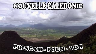 NOUVELLE CALEDONIE : POUM - POINGAM - COEUR DE VOH