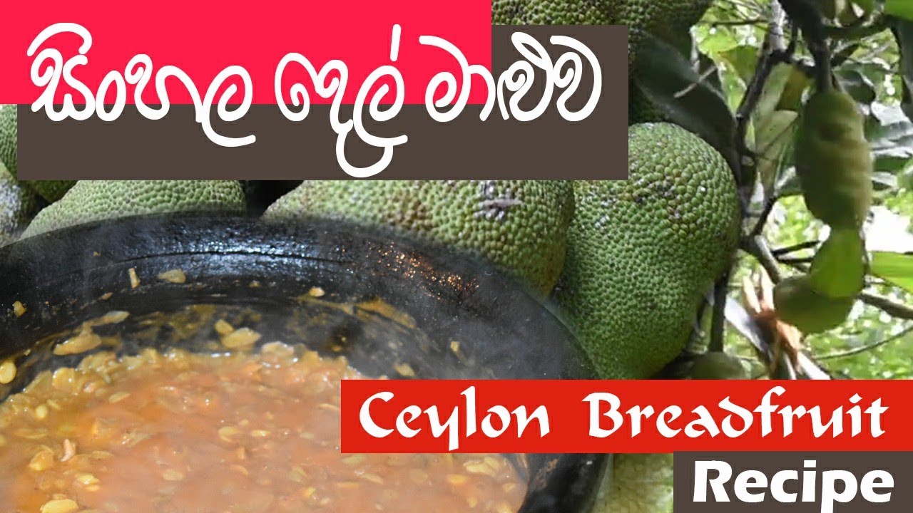 Breadfruit food recipe | Village Foods | Village Life | සිංහල දෙල් මාළුව | Ape amma | Traditional me
