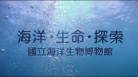 海生馆简介 中文版 - 天天要闻