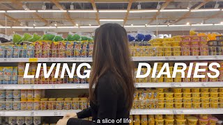 Living Diaries 🔅 Life Lately, Cooking Lunch, Grocery, Eating Ramen, Ikea Shopping| Philippines