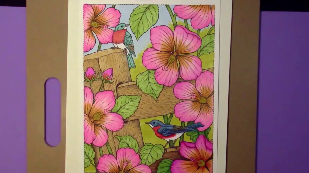 Review 2 Art n Fly 72 Colored Pencils and 48 Color Art Markers YouTube