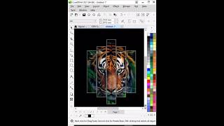 PowerClip Tiger Effect in CorelDRAW 🔥#shorts #coreldraw #aggraphics  #tricks