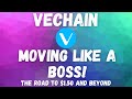 VECHAIN PRICE PREDICTION 2021 - VET PRICE PREDICTION - SHOULD I BUY VET - VECHAIN FORECAST