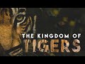 Tiger Documentary | The Kingdom of Tigers