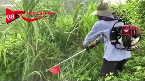 Máy Cắt Cỏ | Máy Cắt Cỏ 4 Thì Dây Đeo Lưng HONDA | GX-35 Nhập Khẩu Chính Hãng