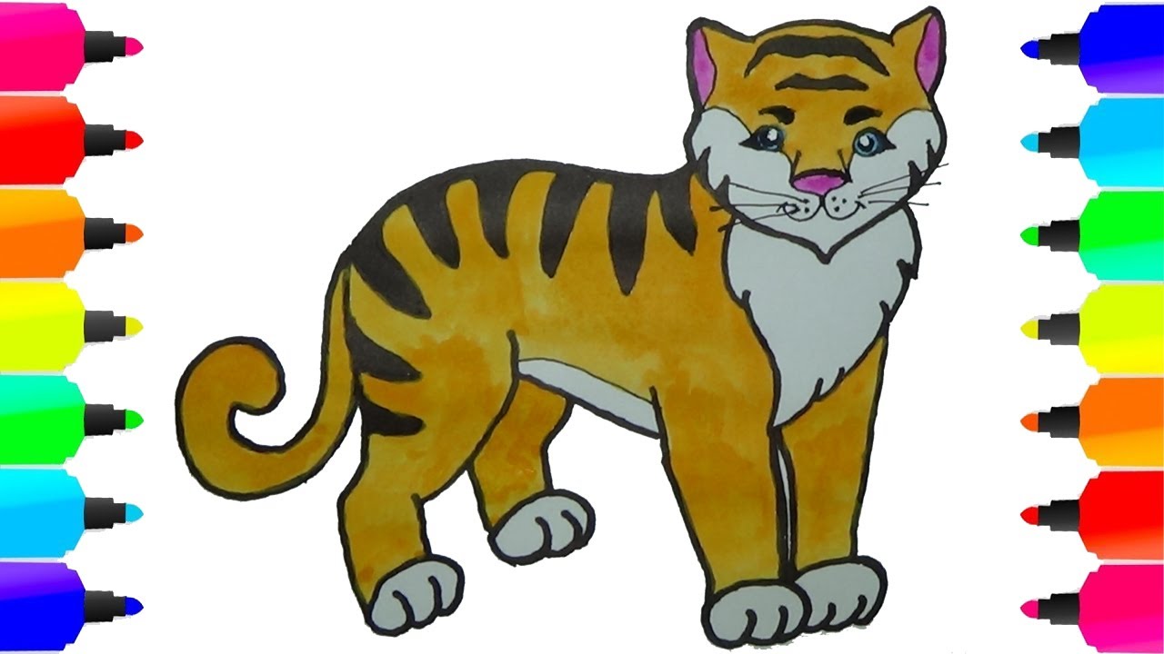 Vẽ Và Tô Màu Con Hổ Cho Bé 😈😈😈 Vẽ Và Tô Màu Con Vật 🐖🐖🐖 Draw A Tiger  For Kids - Youtube