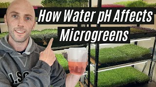 How Water pH Affects Microgreens