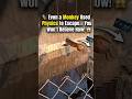 🐒 Even a Monkey Used Physics to Escape… You Won’t Believe How! 😱