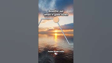 Thumbnail of Deep Breathing Exercise for Panic Attacks  #breathing #breathingtechnique #breathingexercise