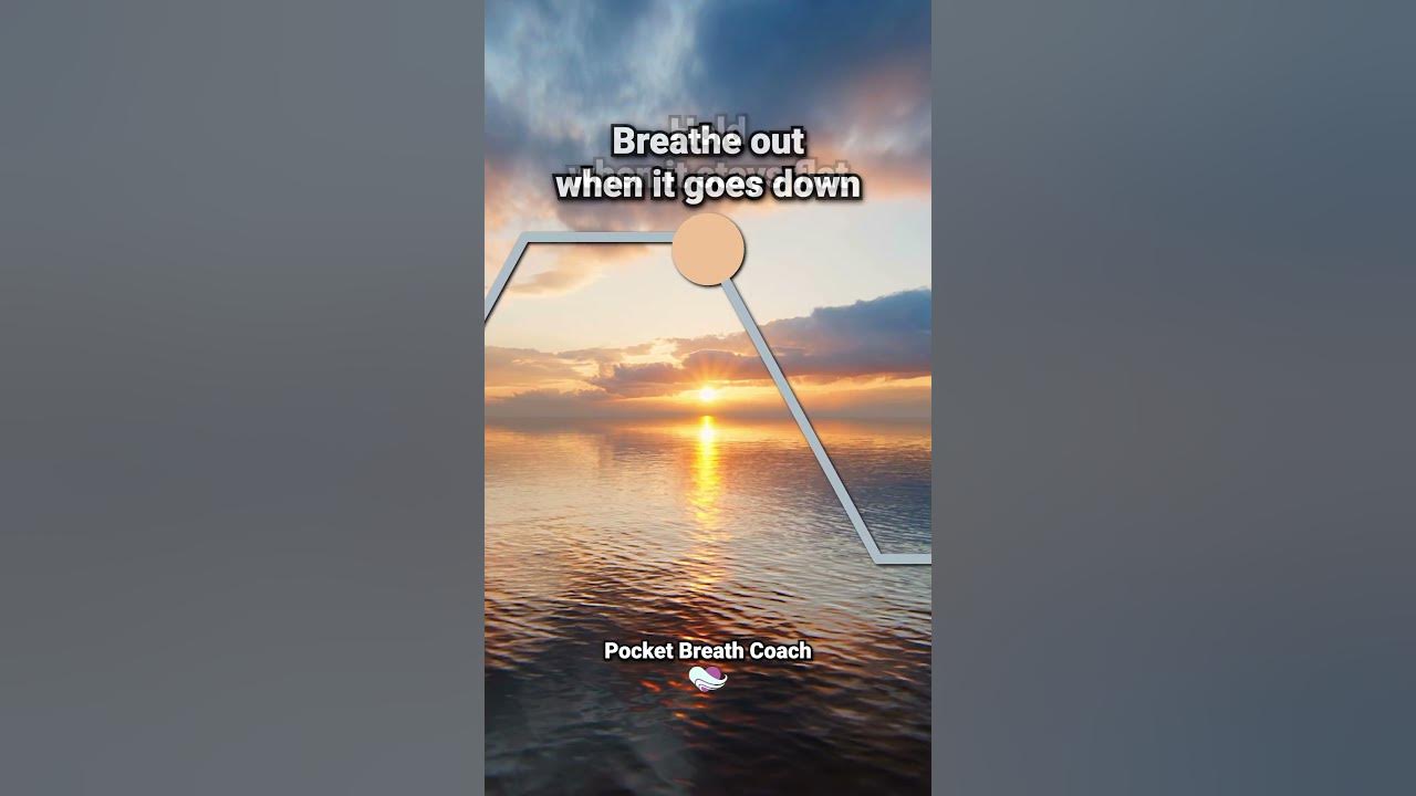 Deep Breathing Exercise for Panic Attacks #breathing #breathingtechnique #breathingexercise Deep Breathing Exercise for Panic Attacks #breathing #breathingtechnique #breathingexercise