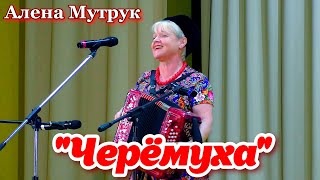 💖 &quot;Черёмуха&quot; песня под гармонь.🌼 Поёт Алена Мутрук. Песня о любви 🌺🌺🌺.