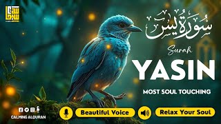 Surah Yasin yaseen    Beautiful Voice Heart Touching  Majestic Quran For Sleep  Alaa Aqel