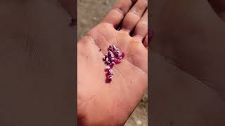 Little handful of magic 😀 (Red Beryl Finds)