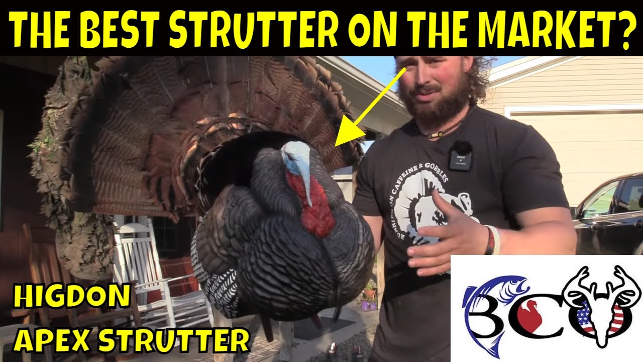 higdon apex strutter first impression bco review YouTube