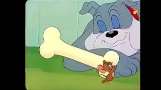 Tom And Jerry 36 توم و جيري